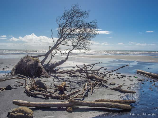 Tongaporutu Beach