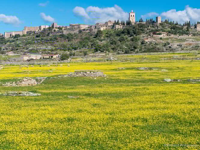 Trujillo