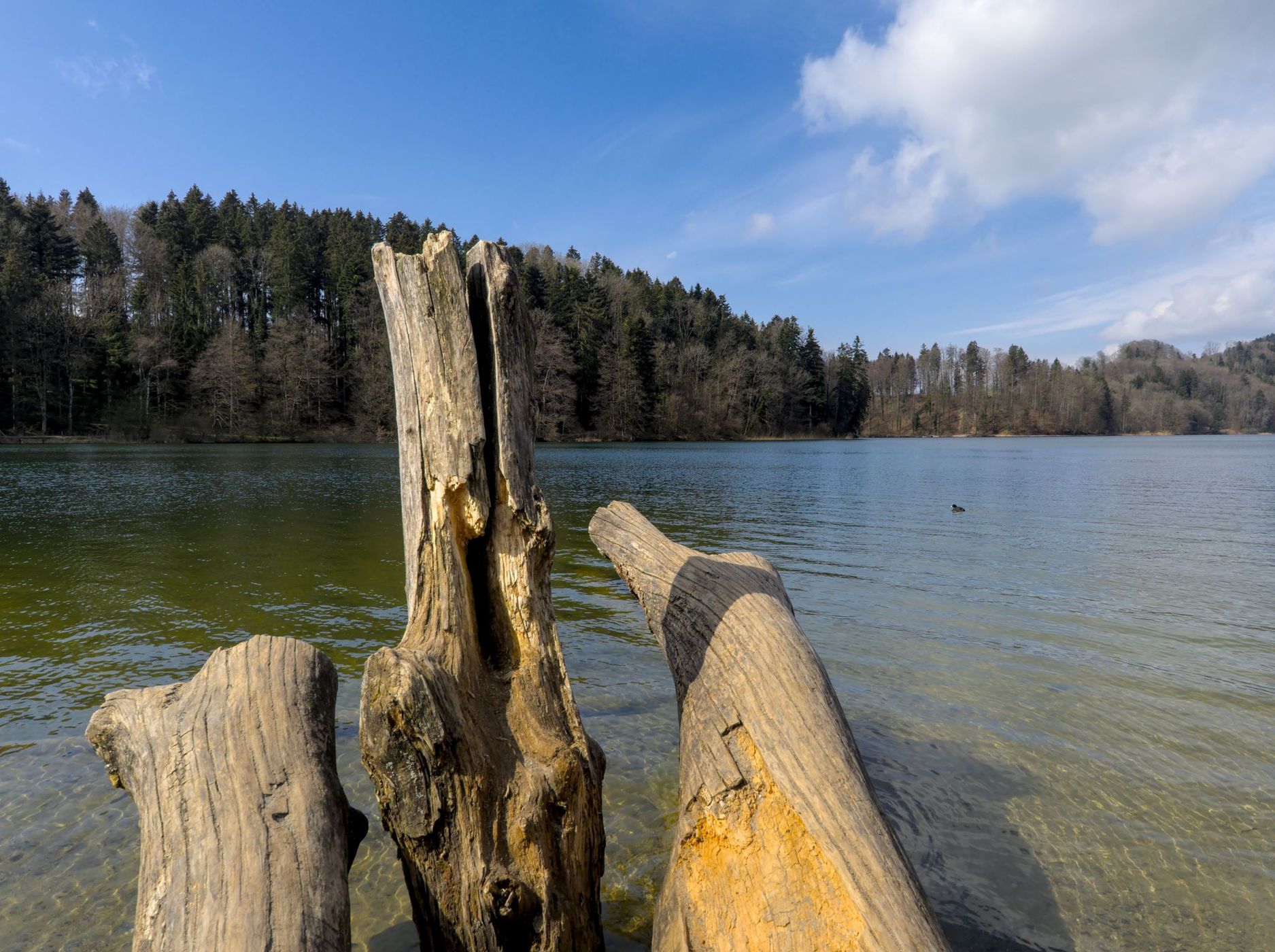 Türlersee Camping, Switzerland