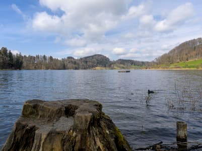 Türlersee Camping