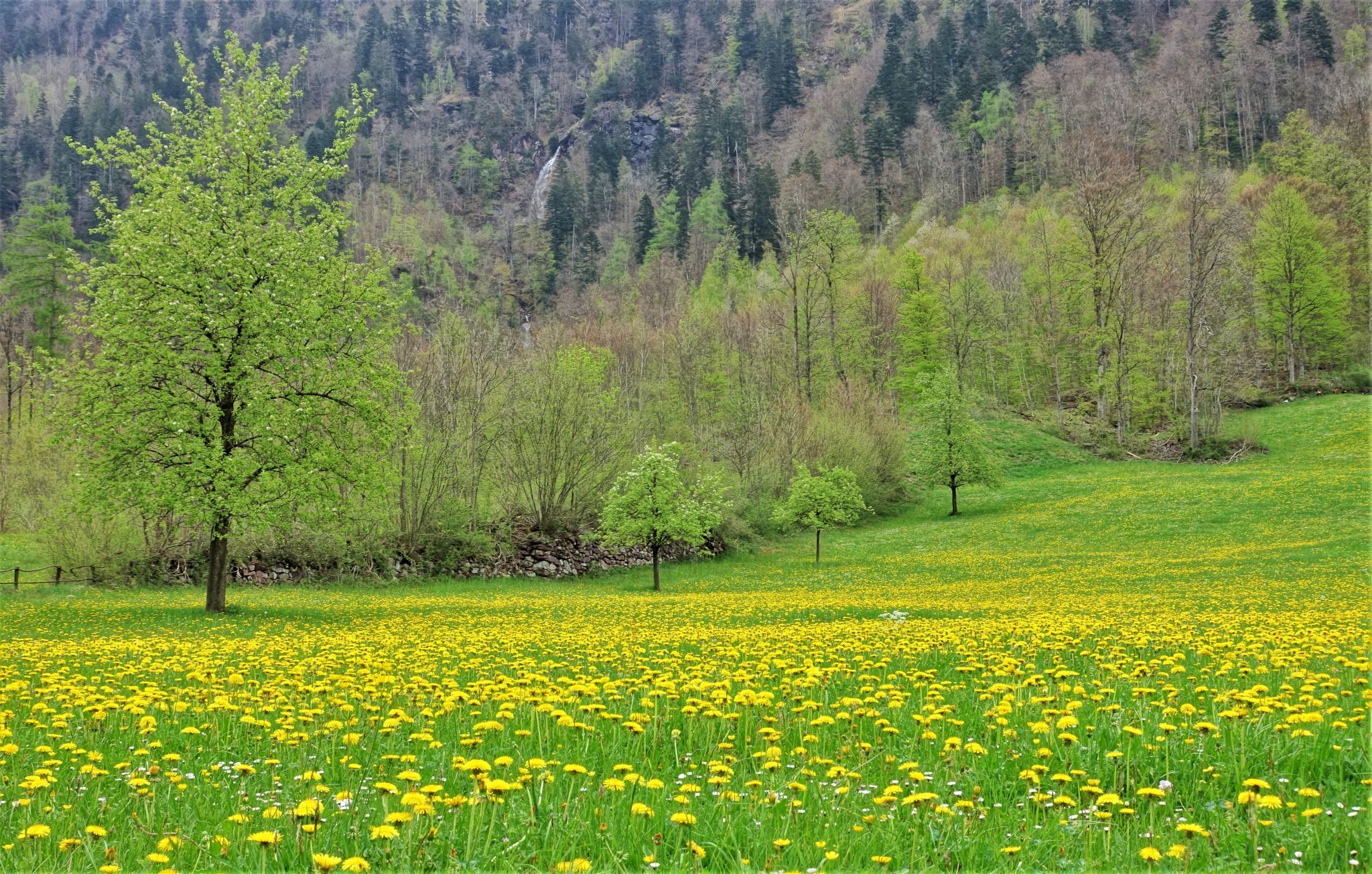 Uschenriet, Switzerland