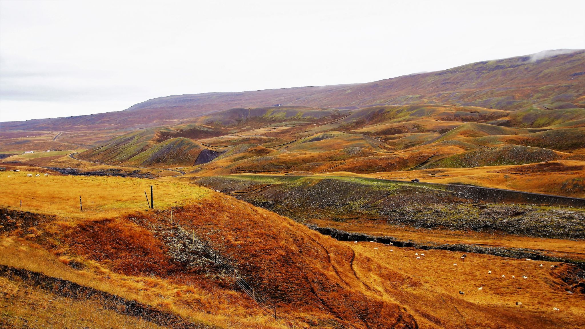 View on 939 road of Iceland, Iceland