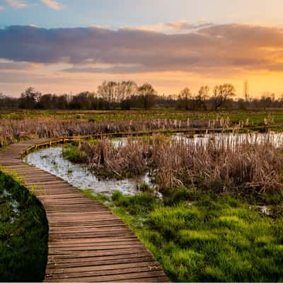 Vijverbroek, Kinrooi, Netherlands