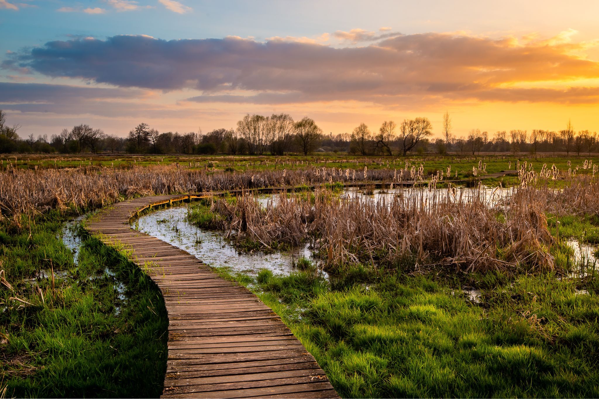Vijverbroek, Kinrooi, Netherlands