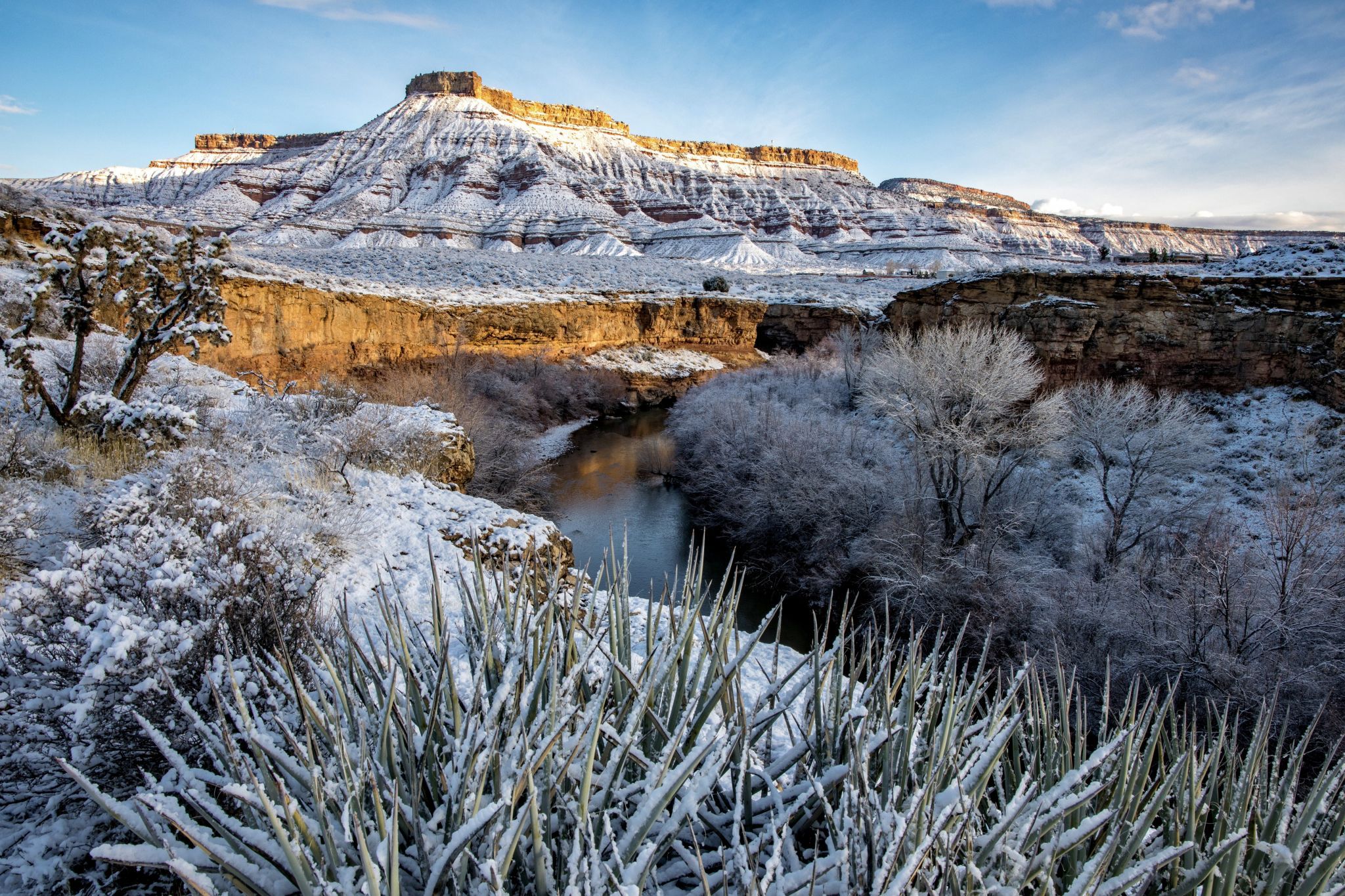 Virgin River Gorge, USA