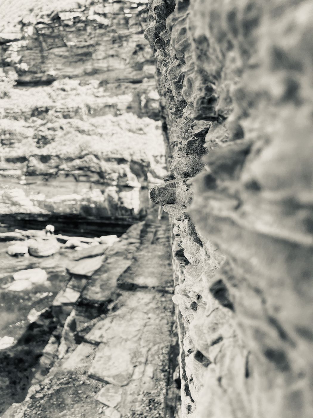 Warriewood Blowhole, Australia