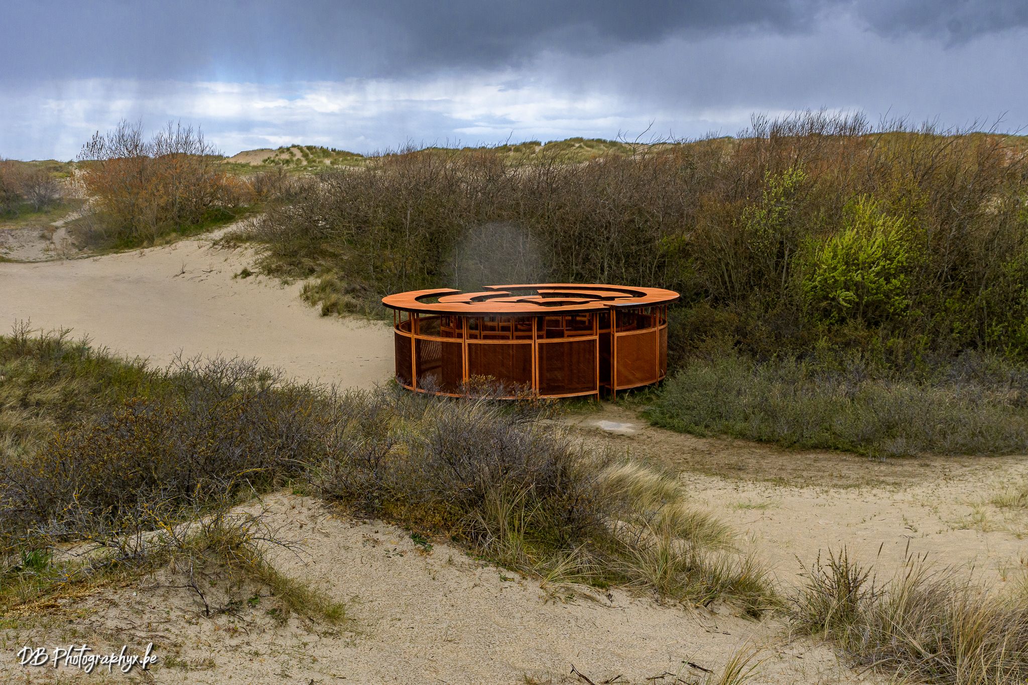 Albedo, Niek Kemps, Belgium