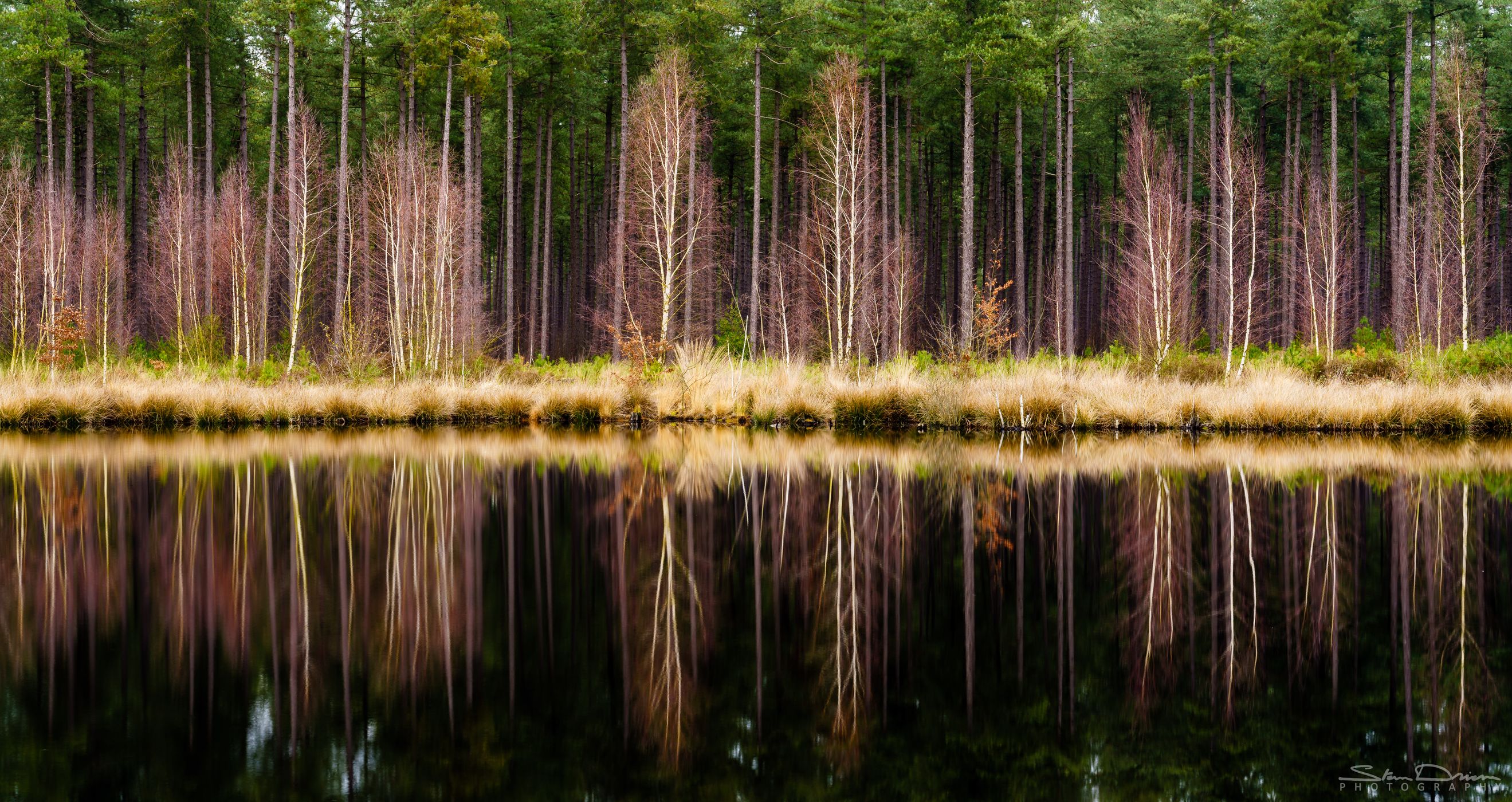 Autumn reflection, Averbode, Belgium