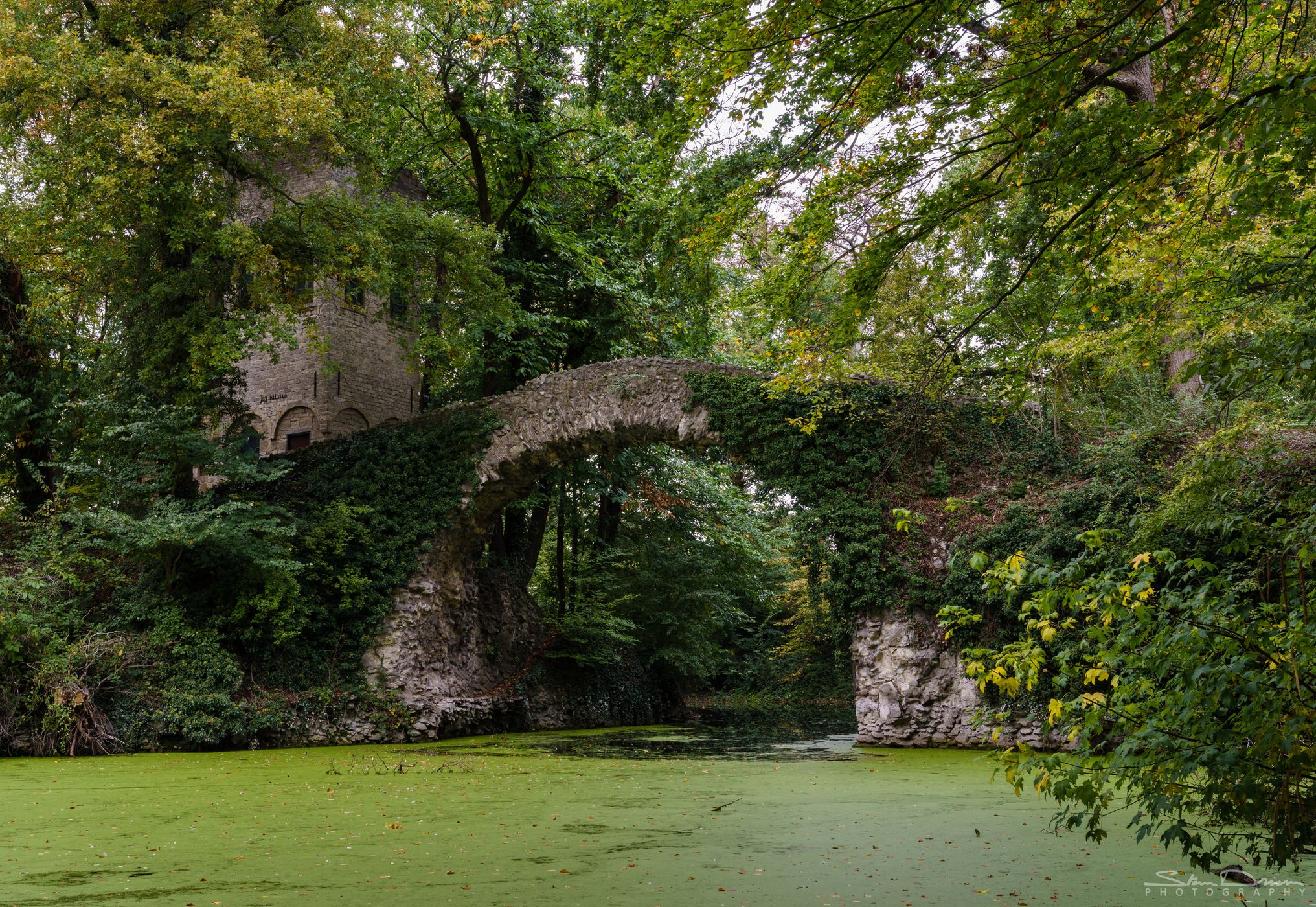 Bridge in Boekenberg park., Belgium