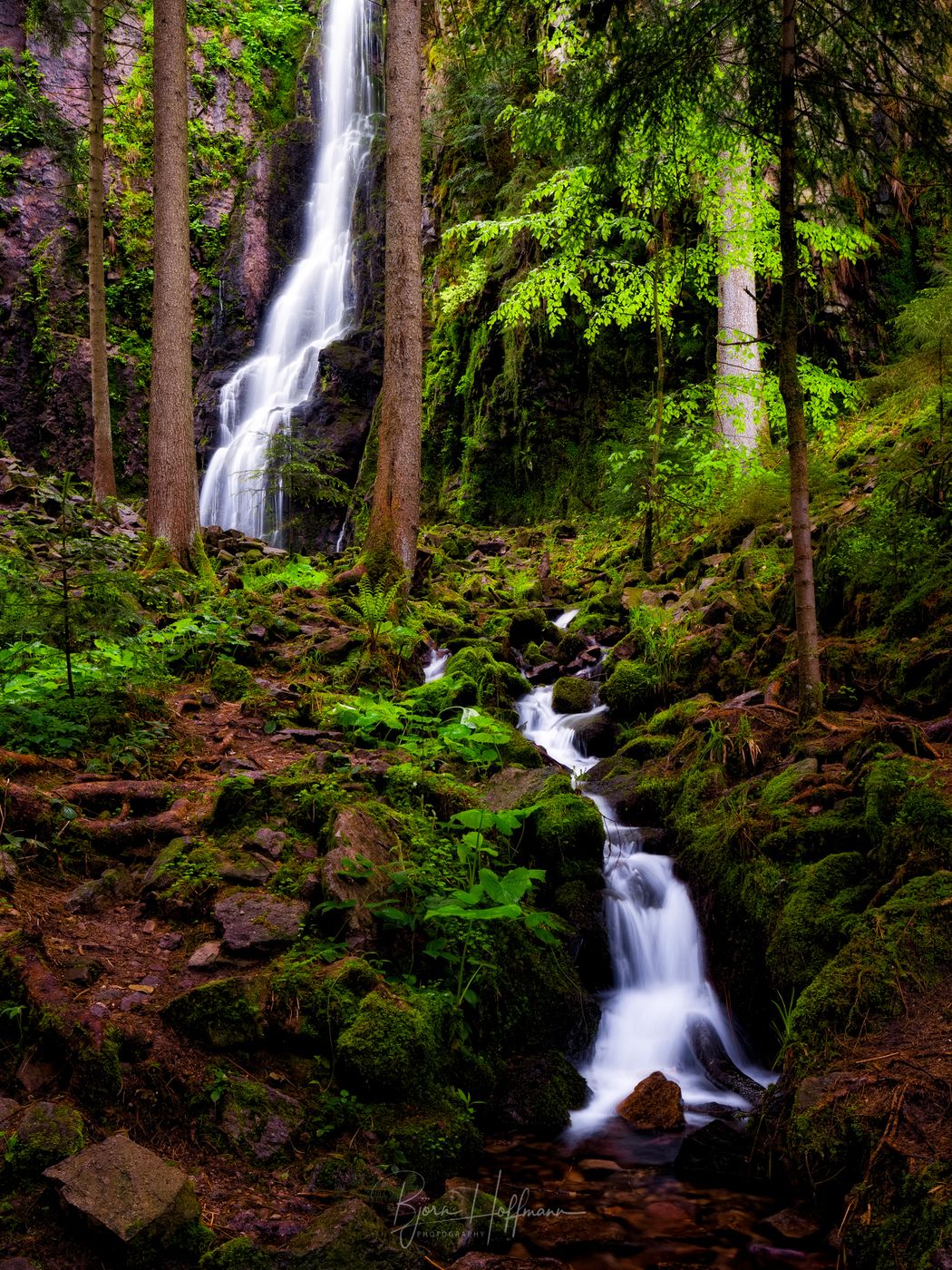 Burgbach Waterfall, Black Forest, Germany