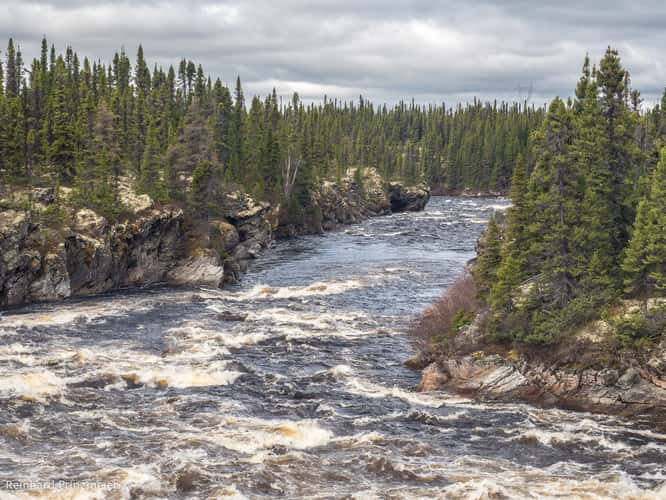 Cache River Bridge