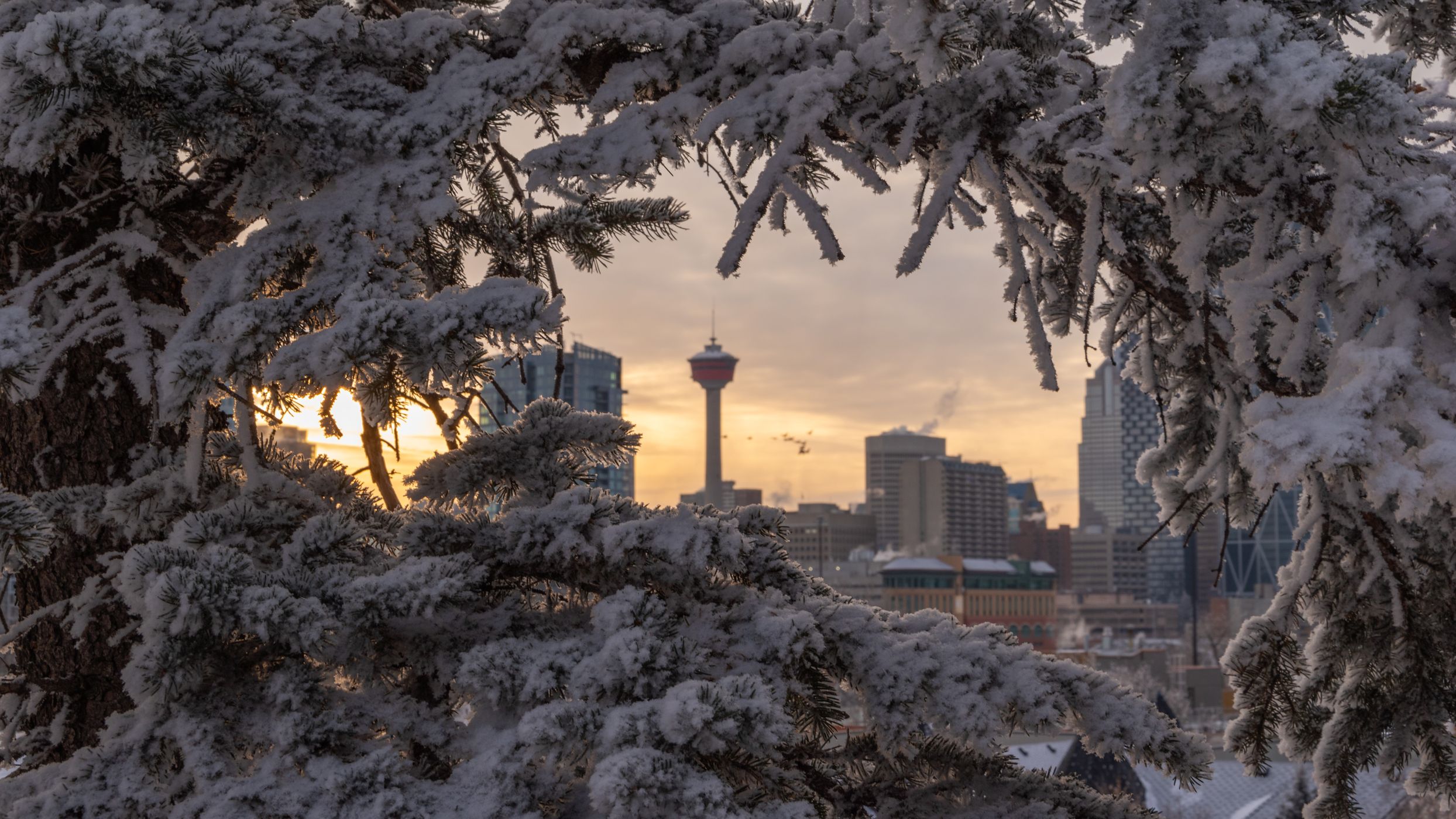 Calgary Tower - from Bridgeland, Canada
