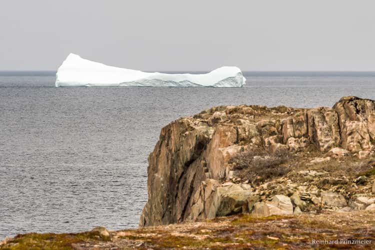 Cape Bonavista