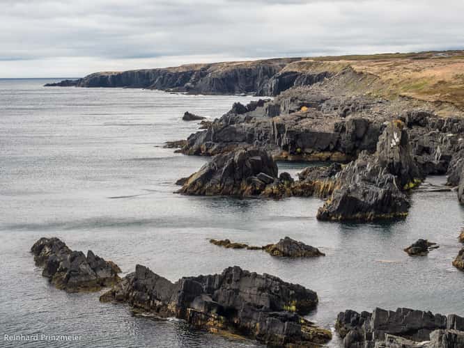 Cape Race Cliffs