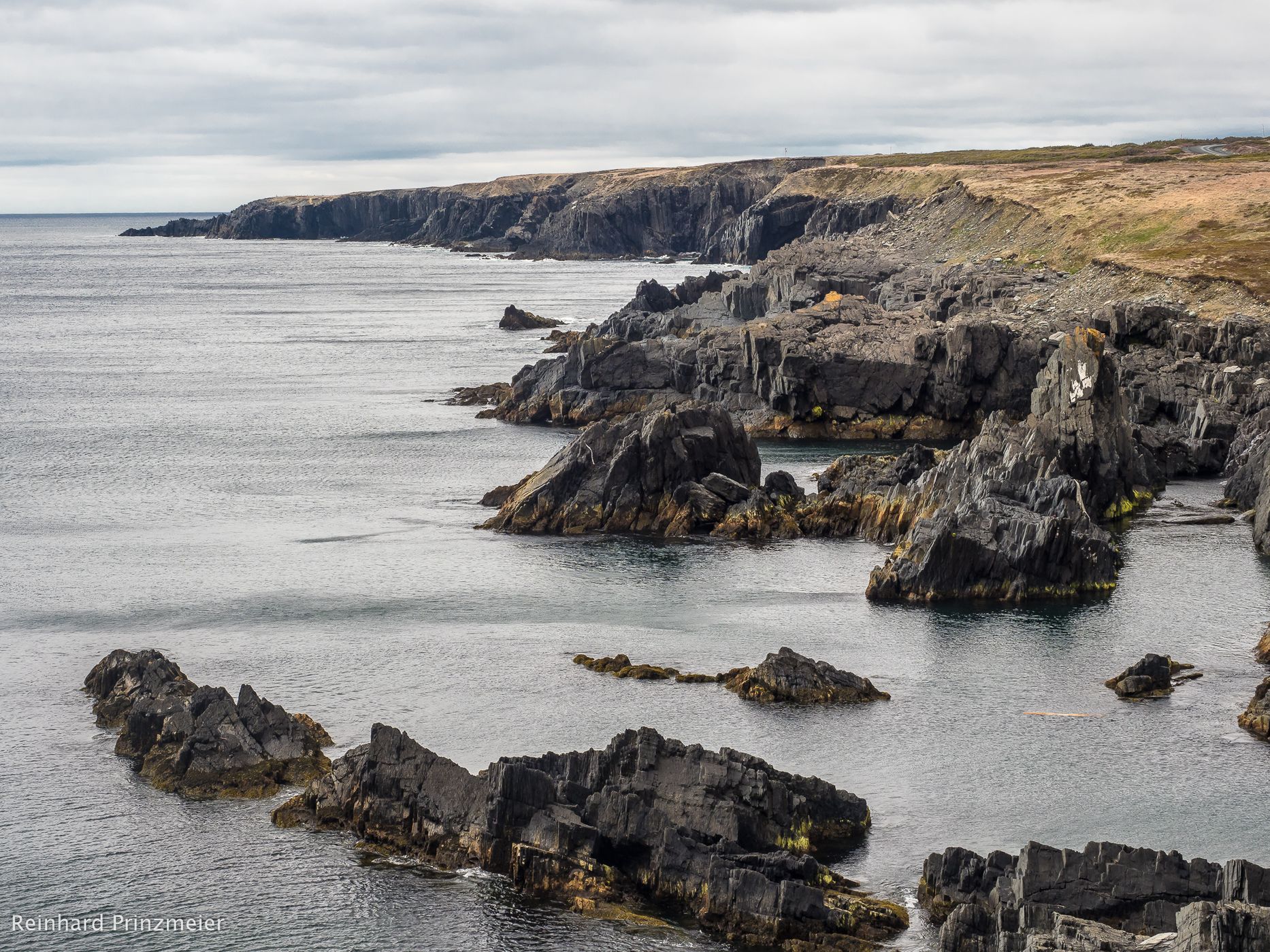 Cape Race Cliffs, Canada