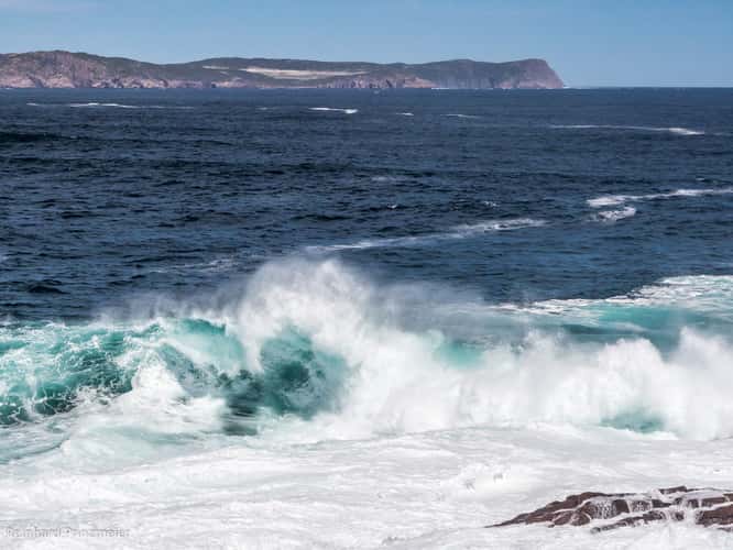 Cape Spear Bay