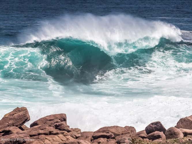 Cape Spear Bay