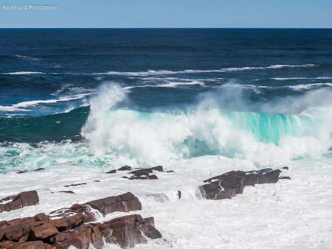 Cape Spear Bay