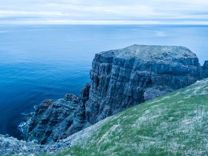 Cape St. Mary's