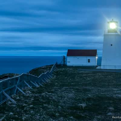 Cape St. Mary's, Canada