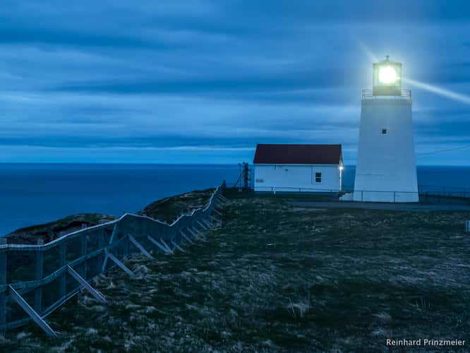 Cape St. Mary's