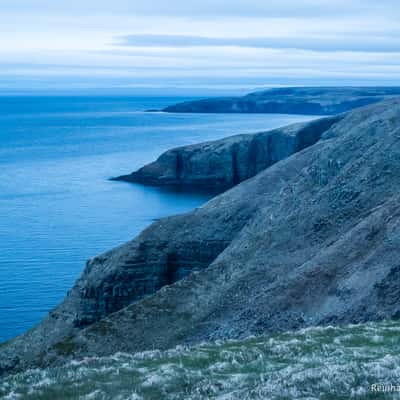 Cape St. Mary's, Canada