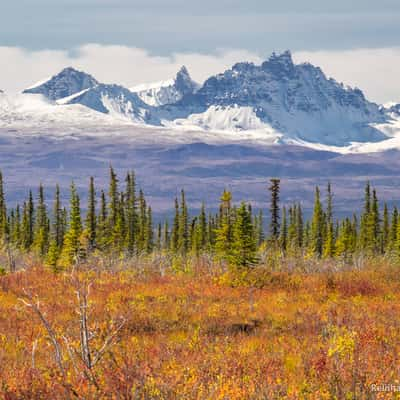 Caribou Creek Trail View, USA