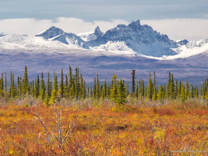 Caribou Creek Trail View