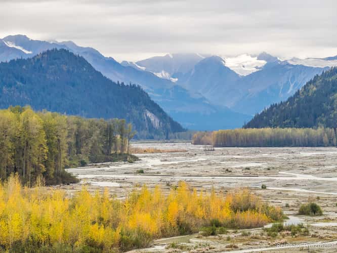 Chilkat River