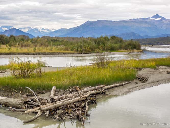 Chilkat River