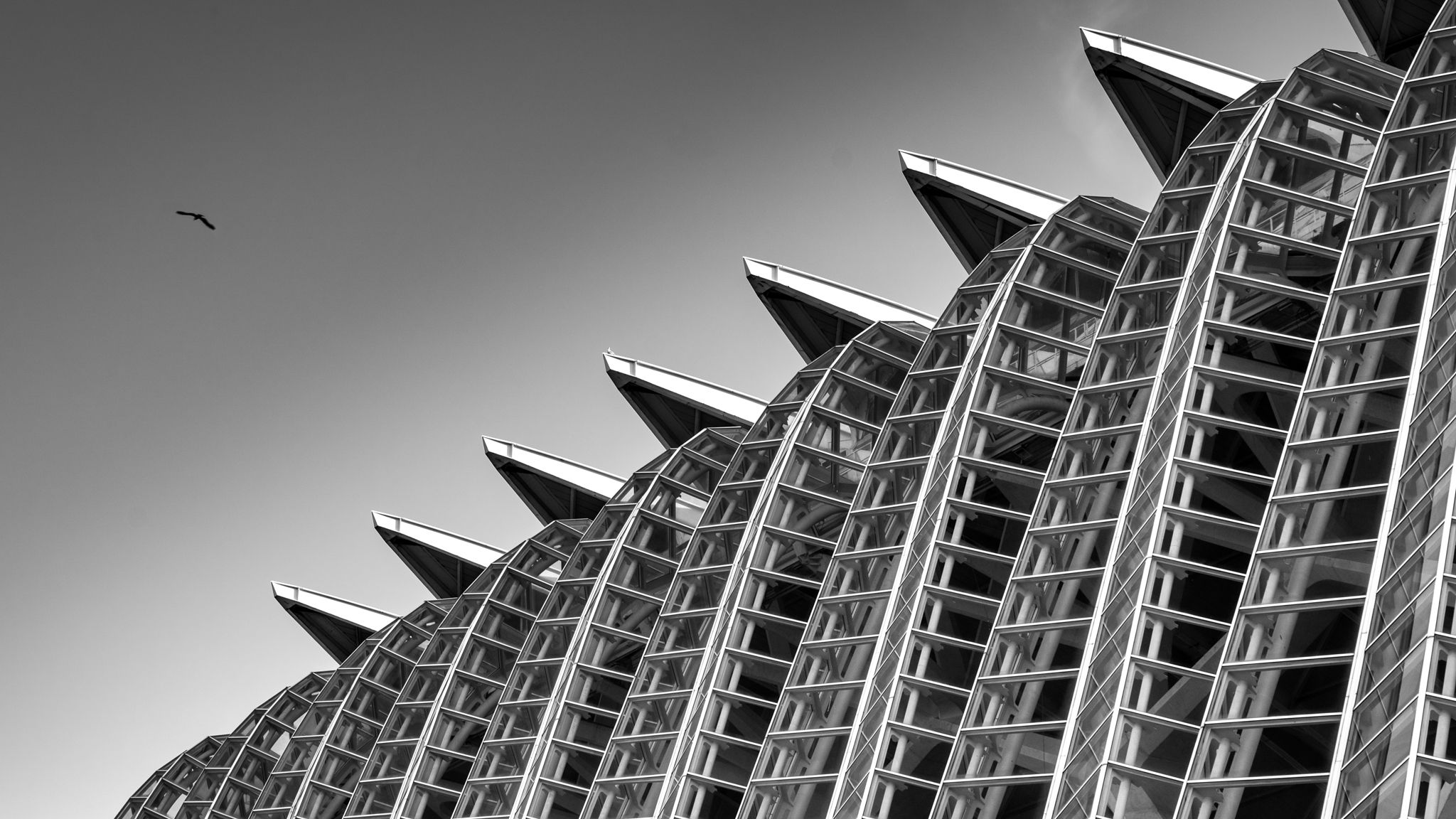 City of Arts and Sciences Valencia, Spain