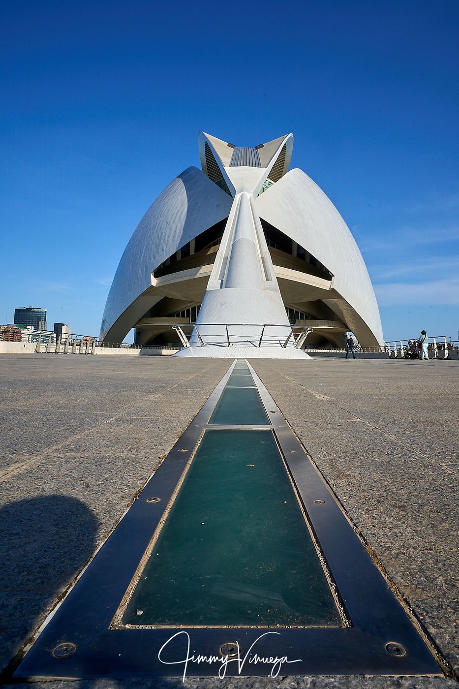 Palau de les Arts Reina Sofia, back view, Spain
