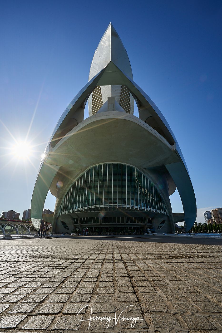 Palace of Arts, front view, Valencia, Spain