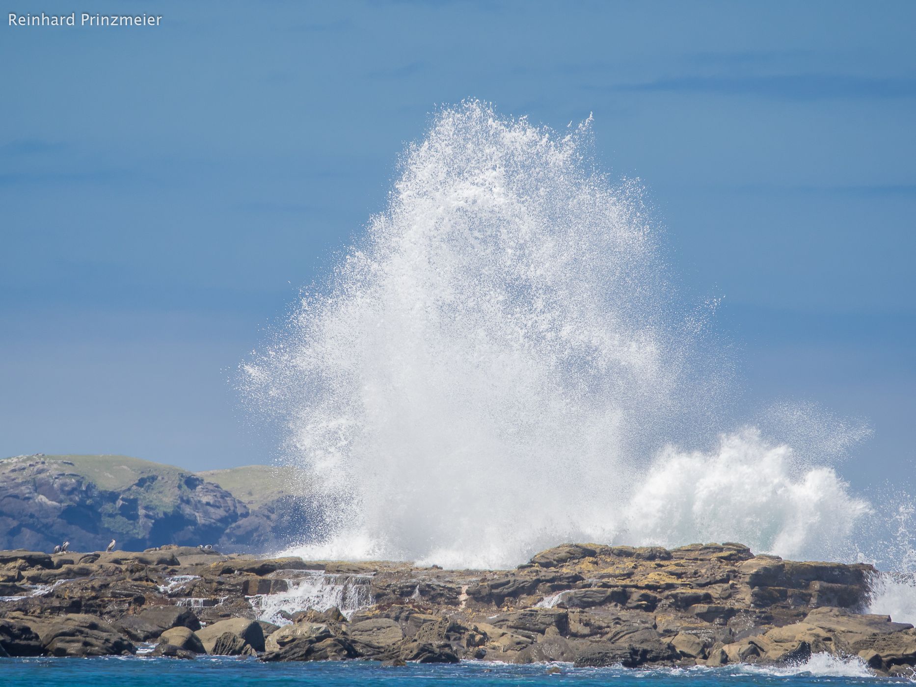 Curio Bay, New Zealand