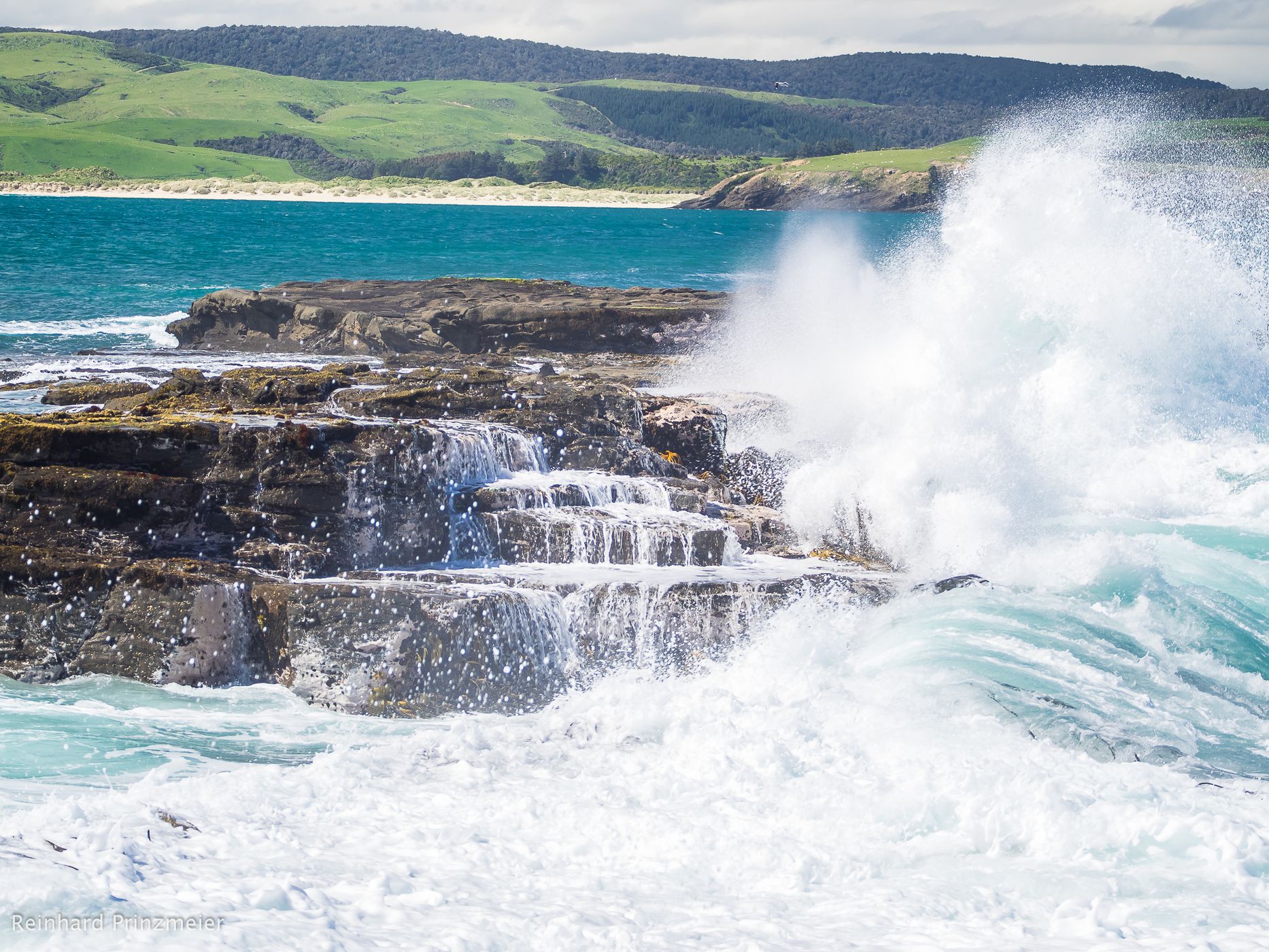 Curio Bay, New Zealand
