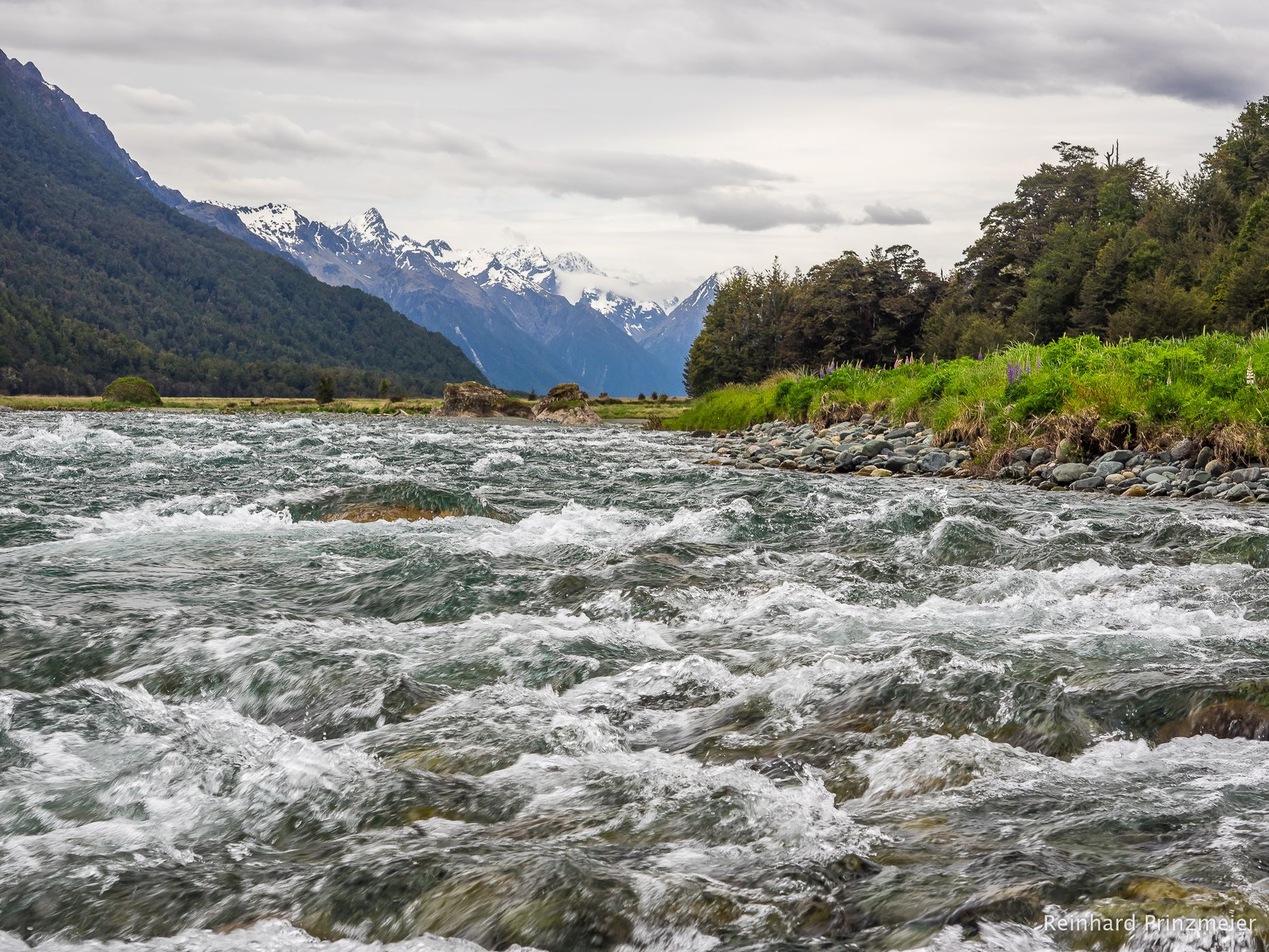 Eglinton River, New Zealand