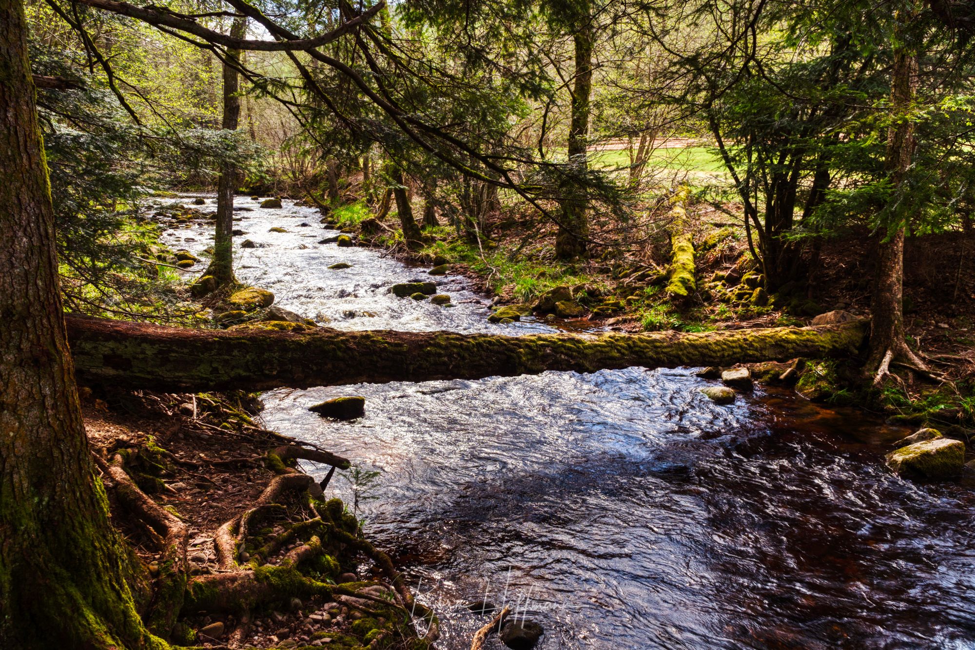 Eyachtal, Schwarzwald, Germany