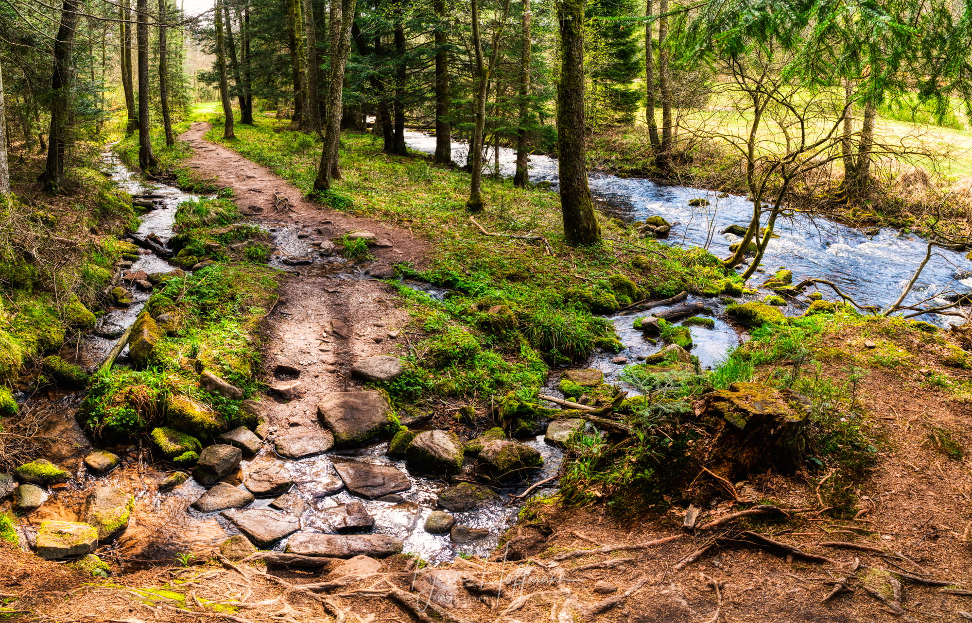 Eyachtal, Schwarzwald, Germany