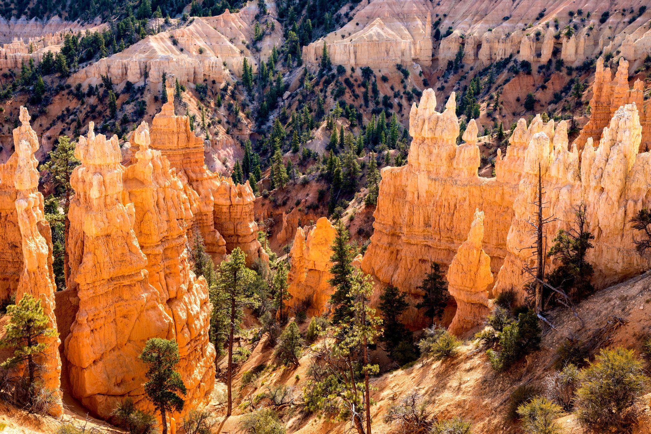 Fairyland Loop, USA
