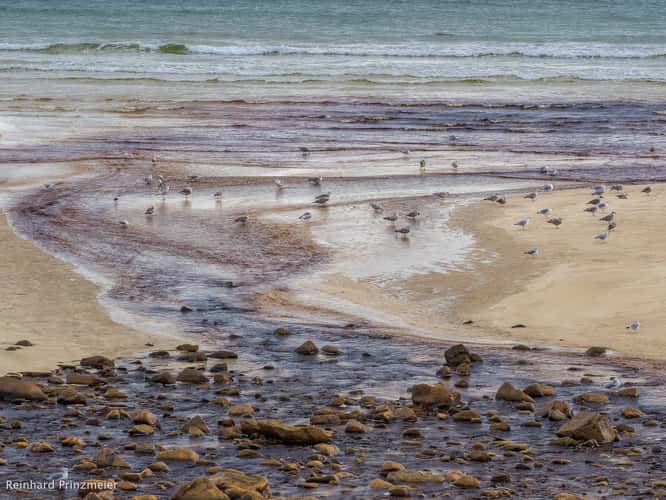 Garry Beach