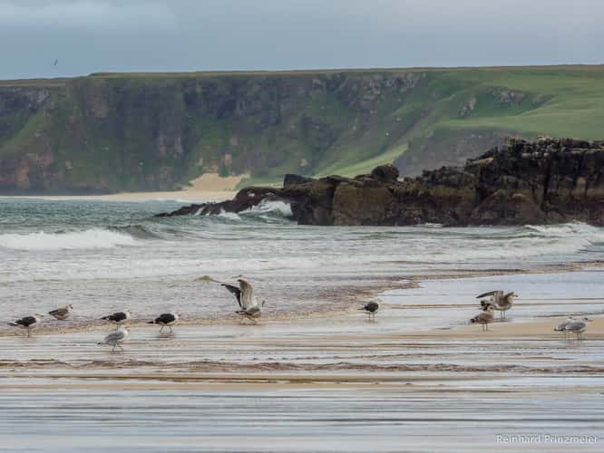 Garry Beach