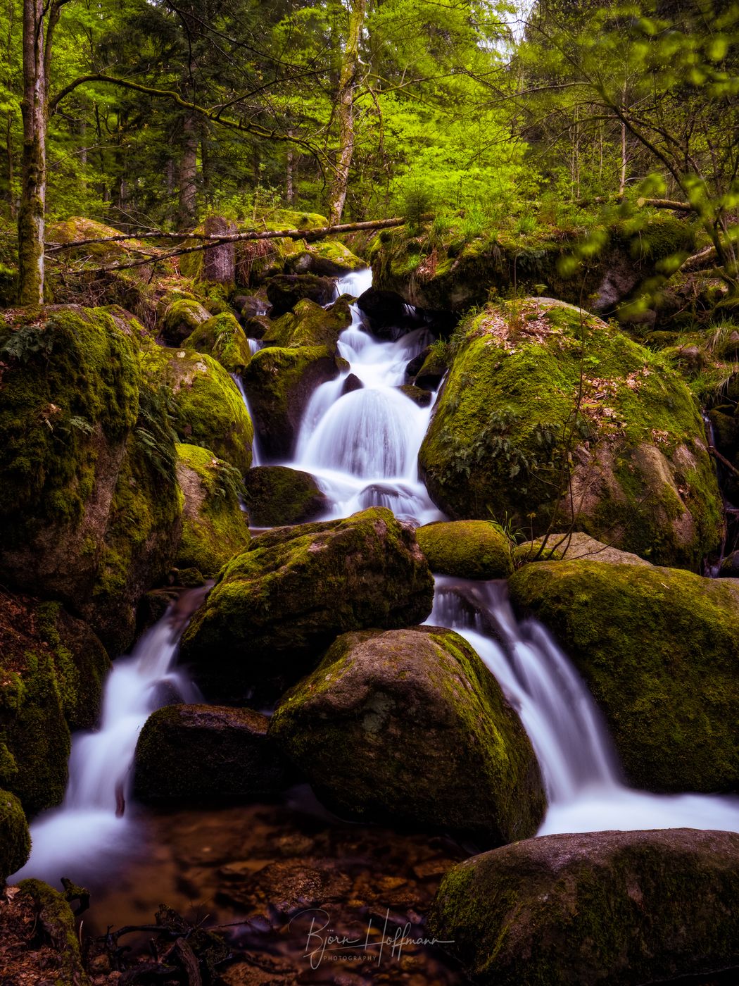 Gertelbach (Bühlertal), Germany