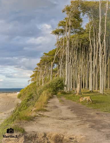 Gespensterwald near Nienhagen
