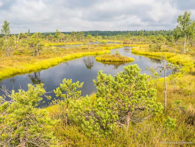 Great Kemeri Bog Boardwalk