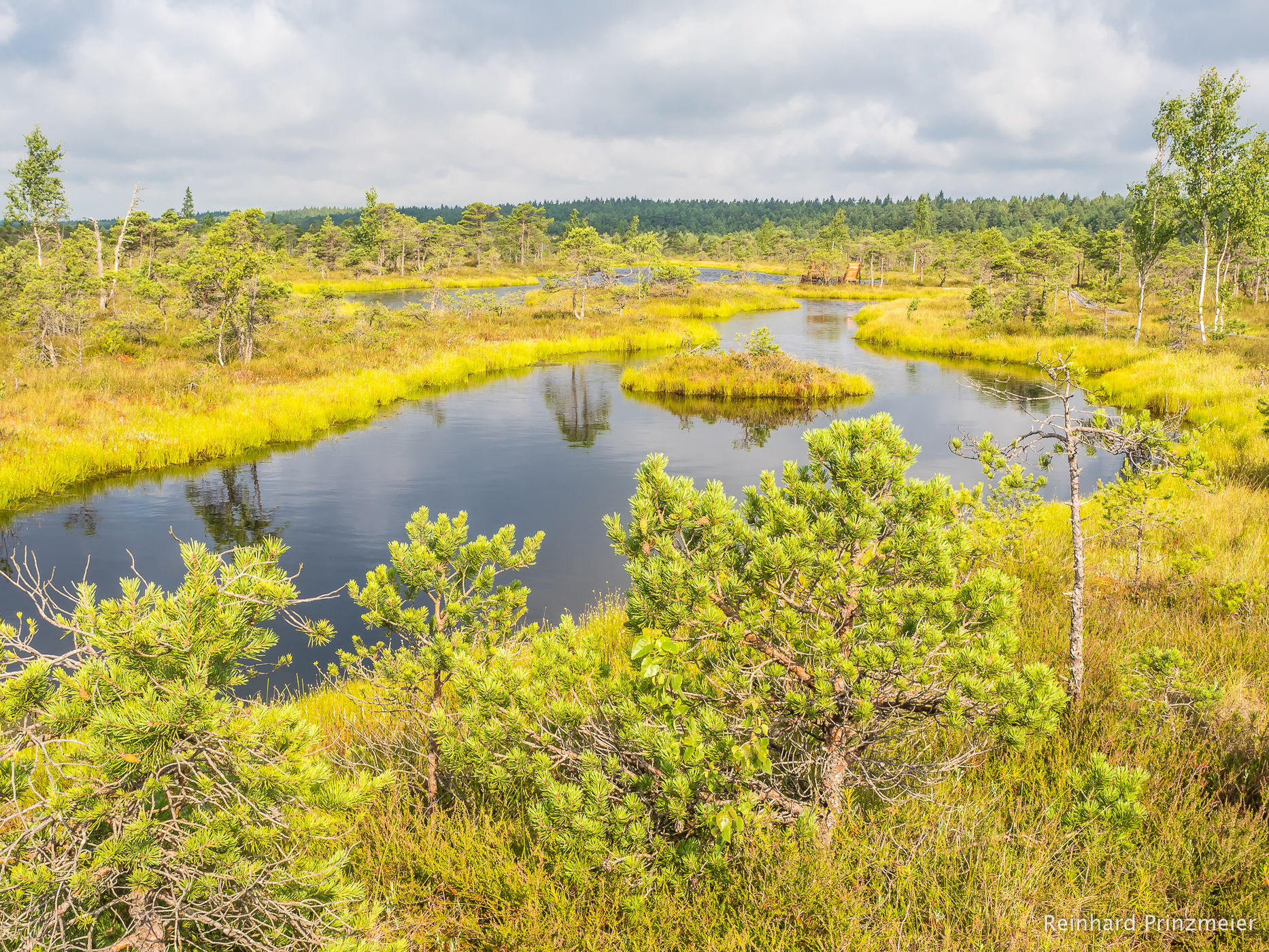 Great Kemeri Bog Boardwalk, Latvia