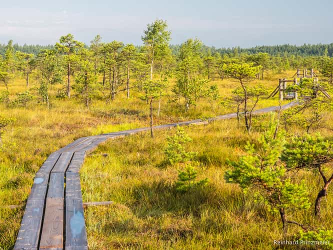 Great Kemeri Bog Boardwalk