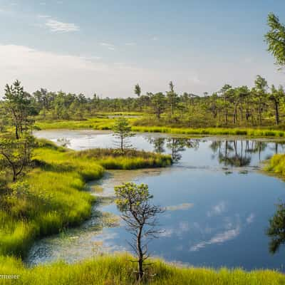 Great Kemeri Bog Boardwalk, Latvia