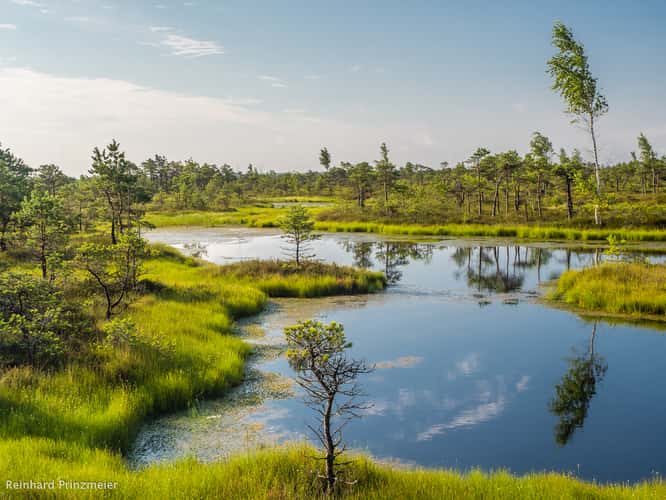 Great Kemeri Bog Boardwalk