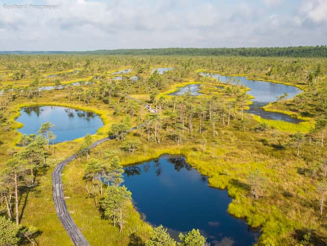 Great Kemeri Bog Boardwalk