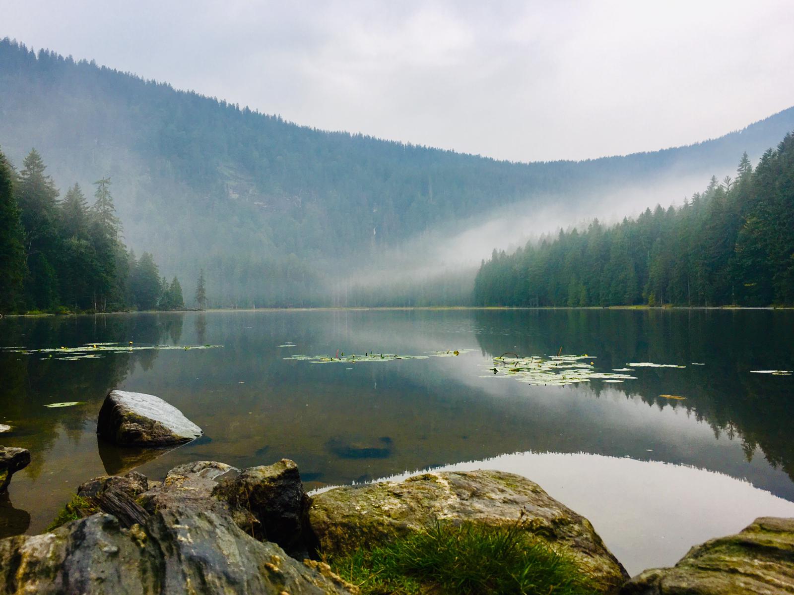 Grosser Arbersee, Germany